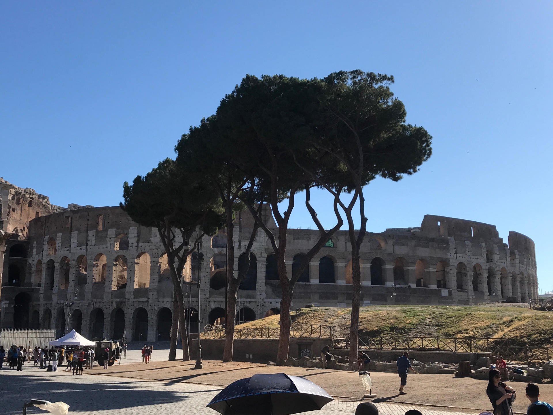 Small Van Rome Lovable App